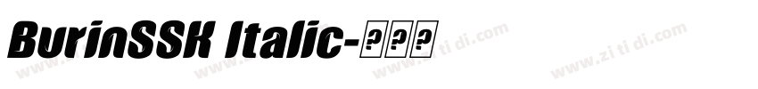 BurinSSK Italic字体转换